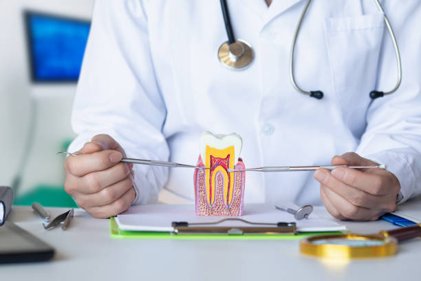 Best Cracked Tooth Emergency Dentist  in Bear Creek, FL